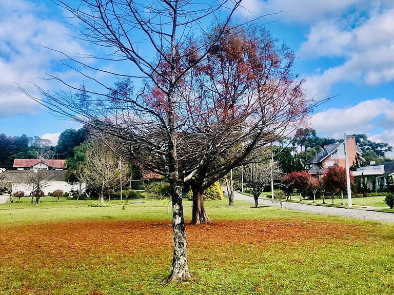 Casa Exclusiva Com 3 Suítes Em Condomínio Luxo